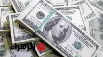 قفزة جديدة.. تحرك مفاجئ في سعر الدولار اليوم بالبنوك المصرية تحديث الثلاثاء 1